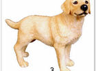 honde